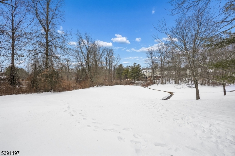 50 Pippins Way Morristown, NJ 07960 - Photo 42 of 42