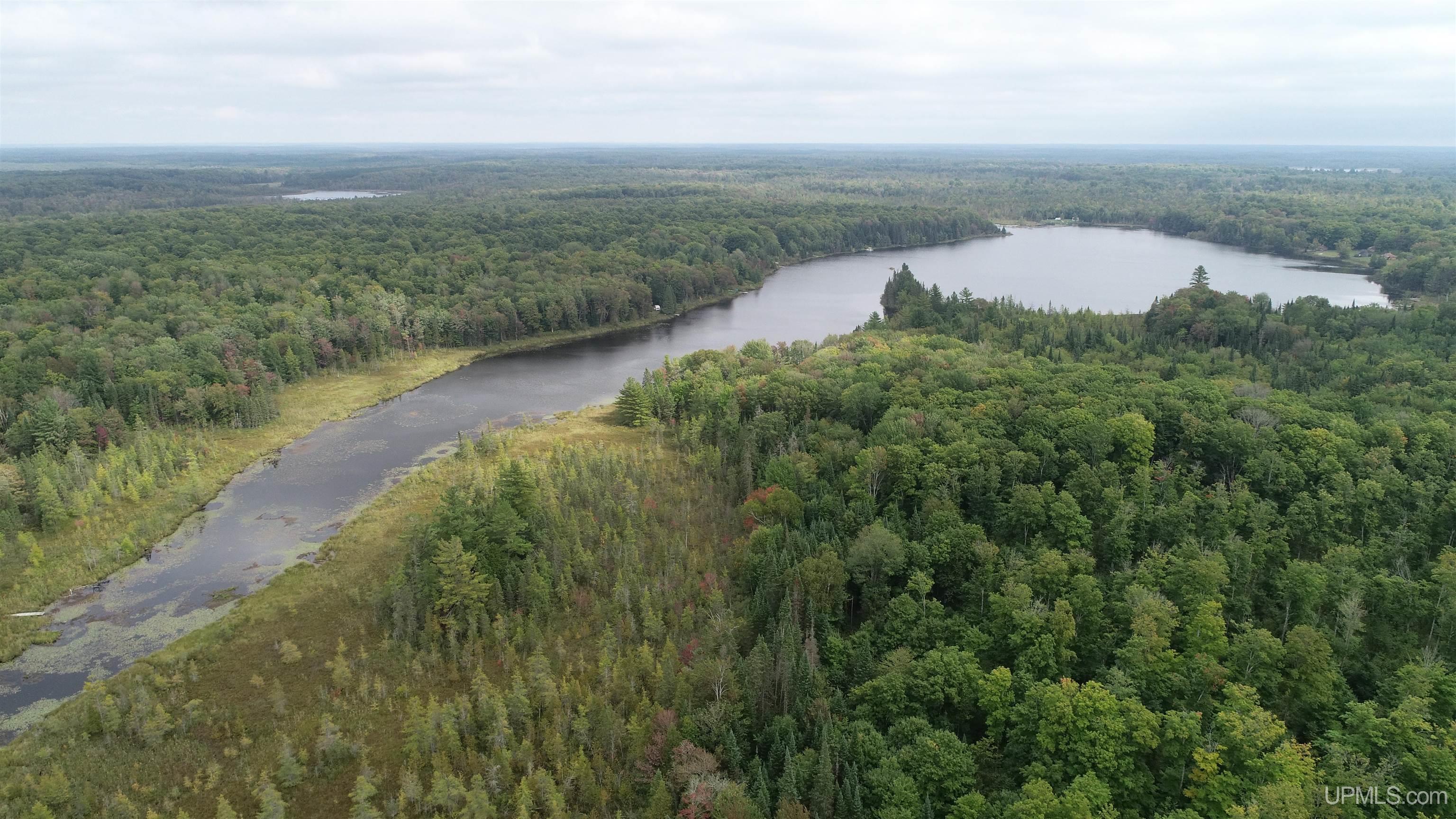 Tbd North Tbd N Powerline Road Germfask, MI 49836 - Photo 29 of 29