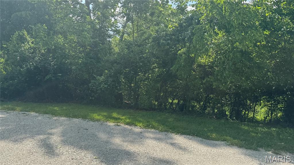 1577 Neff Road St. Clair, MO 63077 - Photo 50 of 68