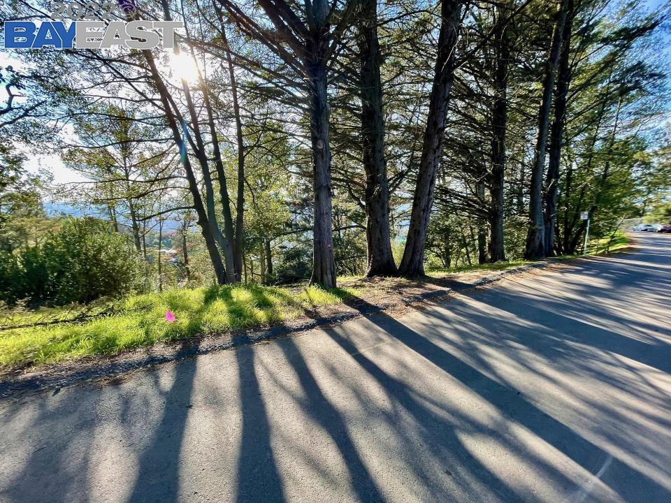 0 Panoramic Place Berkeley, CA 94704 - Photo 1 of 1 a view of a yard with plants and trees