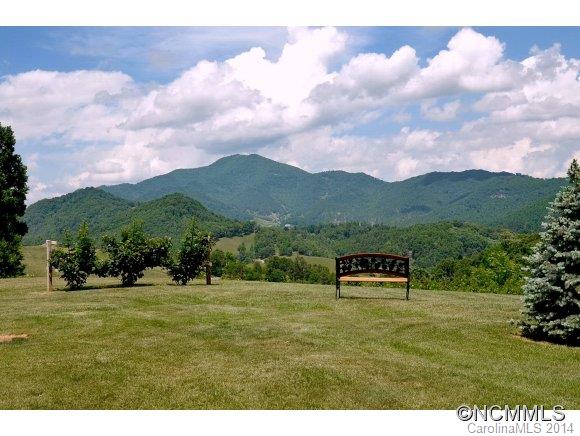 232 Buck Ridge Road Waynesville, NC 28785 - Photo 19 of 23 Gallery Image 19