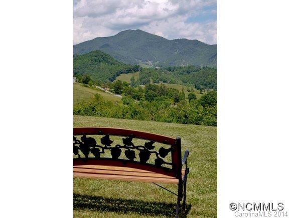 232 Buck Ridge Road Waynesville, NC 28785 - Photo 3 of 23 Gallery Image 3
