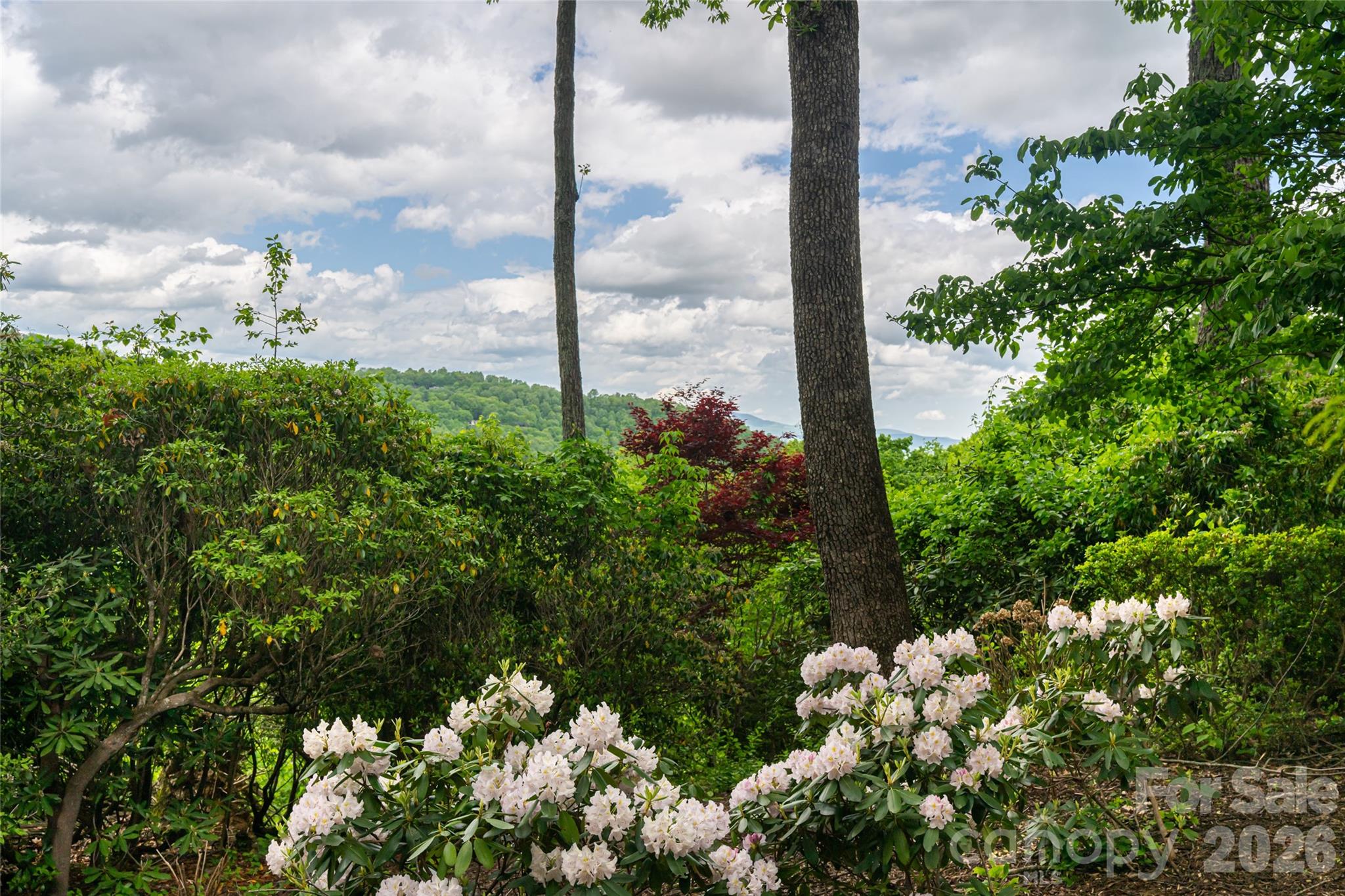 12 Spring Ridge Lane Hendersonville, NC 28739 - Photo 44 of 45 Gallery Image 44