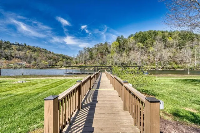 a view of a park with large trees