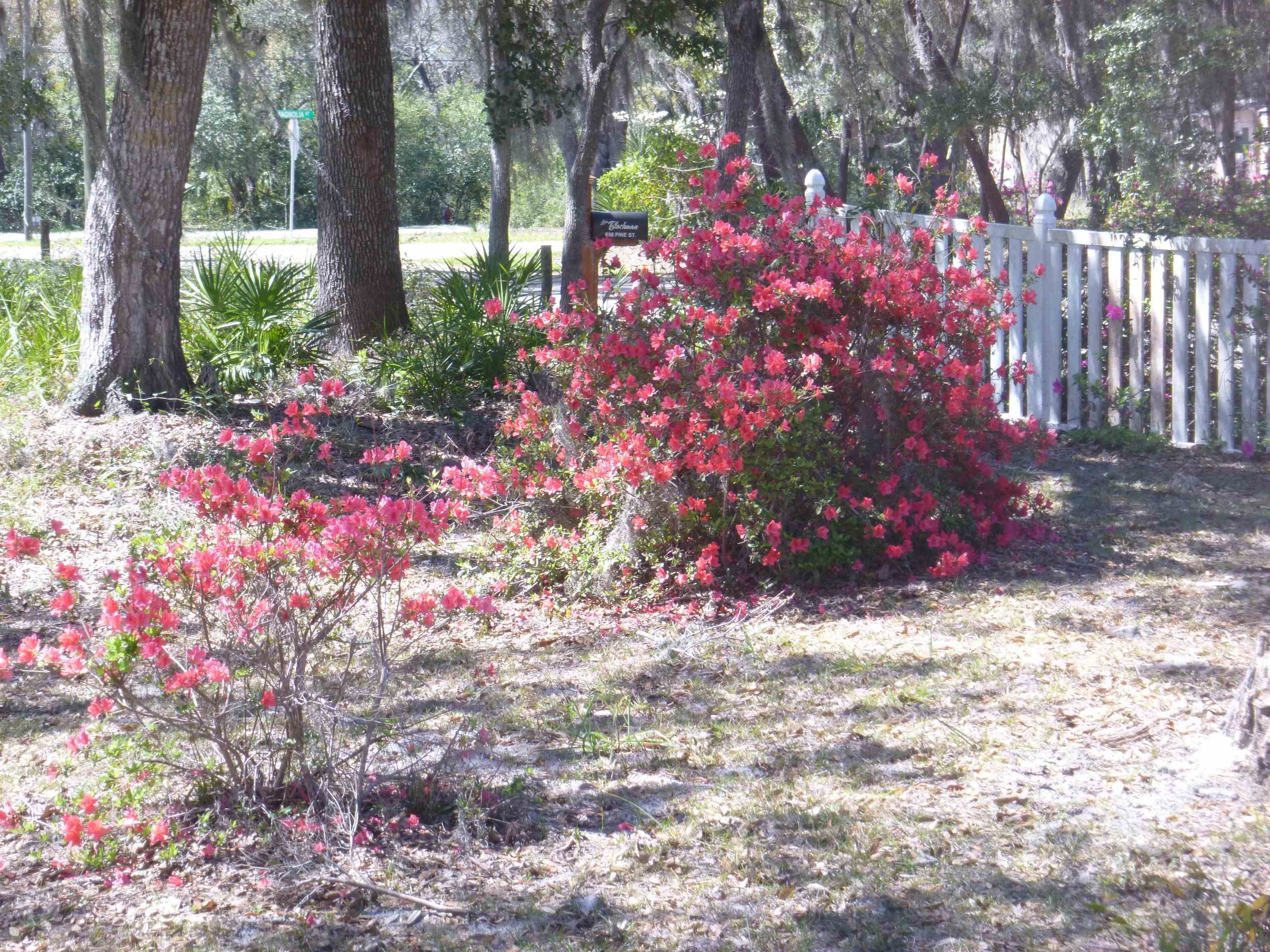 657 Pine Street Alligator Point, FL 32346 - Photo 33 of 35