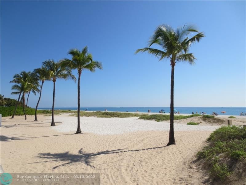 1948 Sailfish Place Lauderdale-by-the-Sea, FL 33062 - Photo 26 of 33 a view of a ocean beach