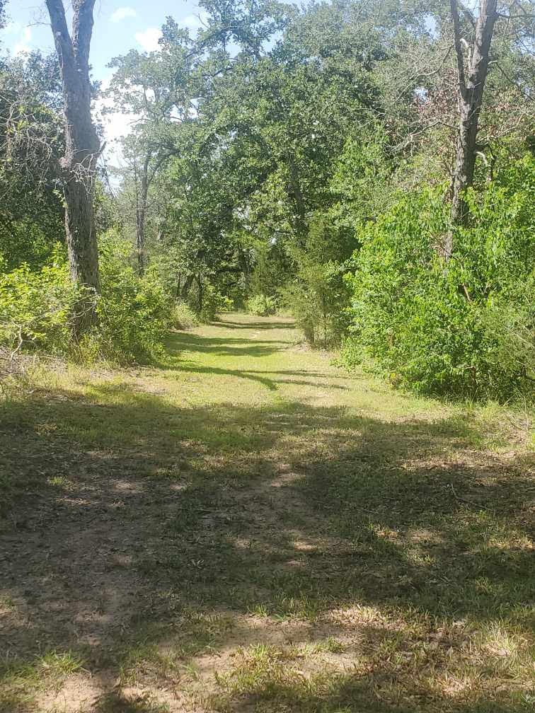 8595 Jared Road Bellville, TX 77418 - Photo 28 of 30 If you love the outdoors and wildlife, you will thoroughly enjoy the walking trails, this one connects the north and south paths.