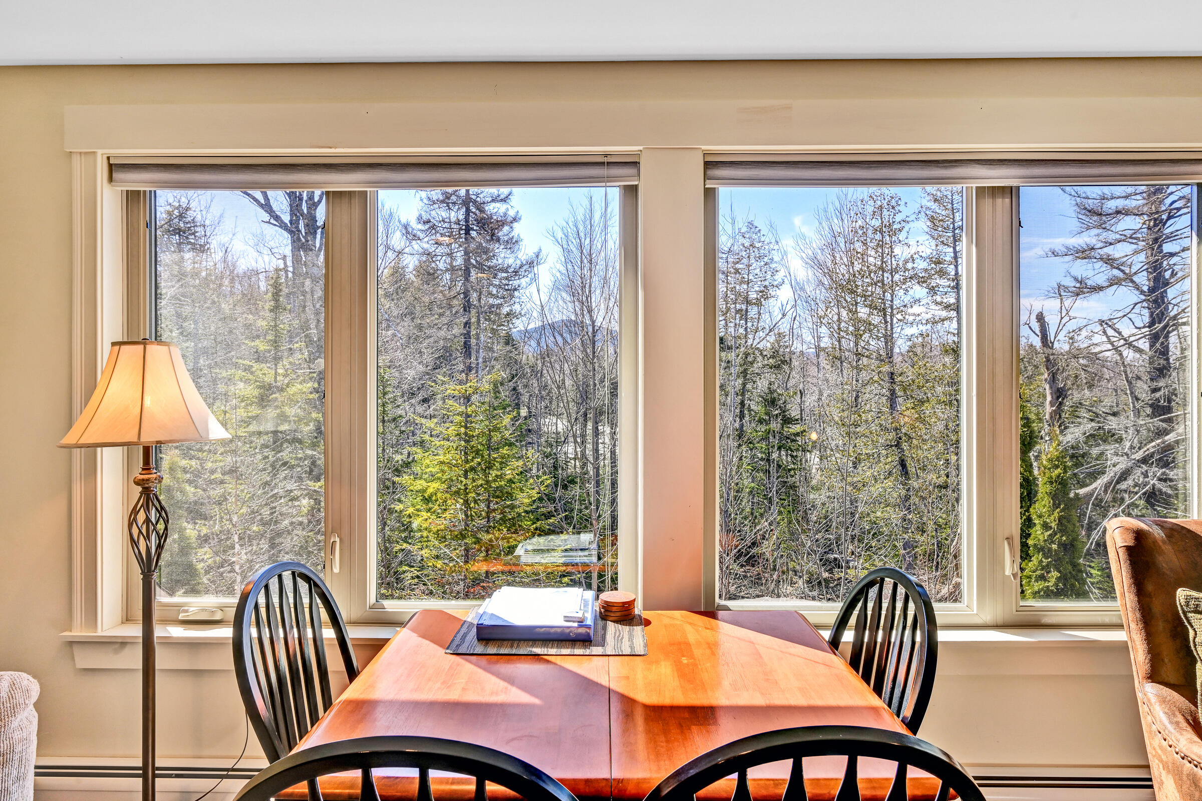 5003 Fall Line Drive, Unit B Carrabassett Valley, ME 04947 - Photo 18 of 29 109507gr-124