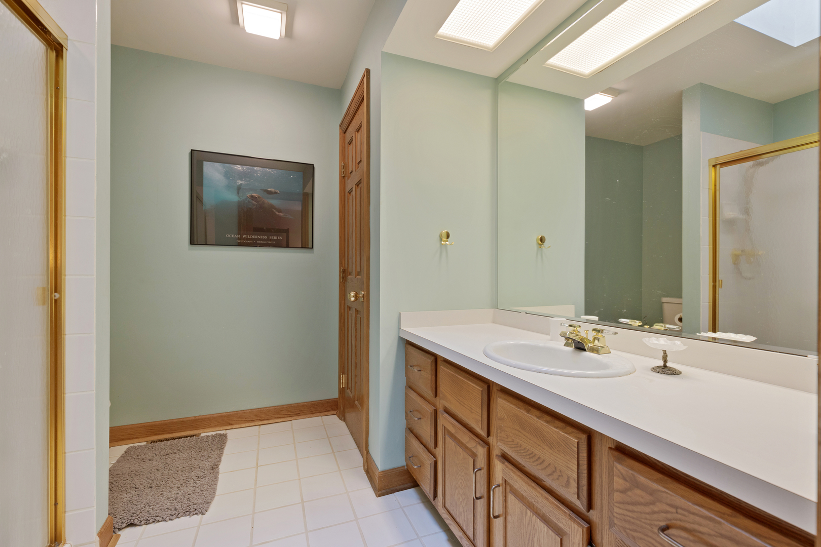 1133 Edgewater Drive Naperville, IL 60540 - Photo 15 of 37 a bathroom with a sink and a mirror