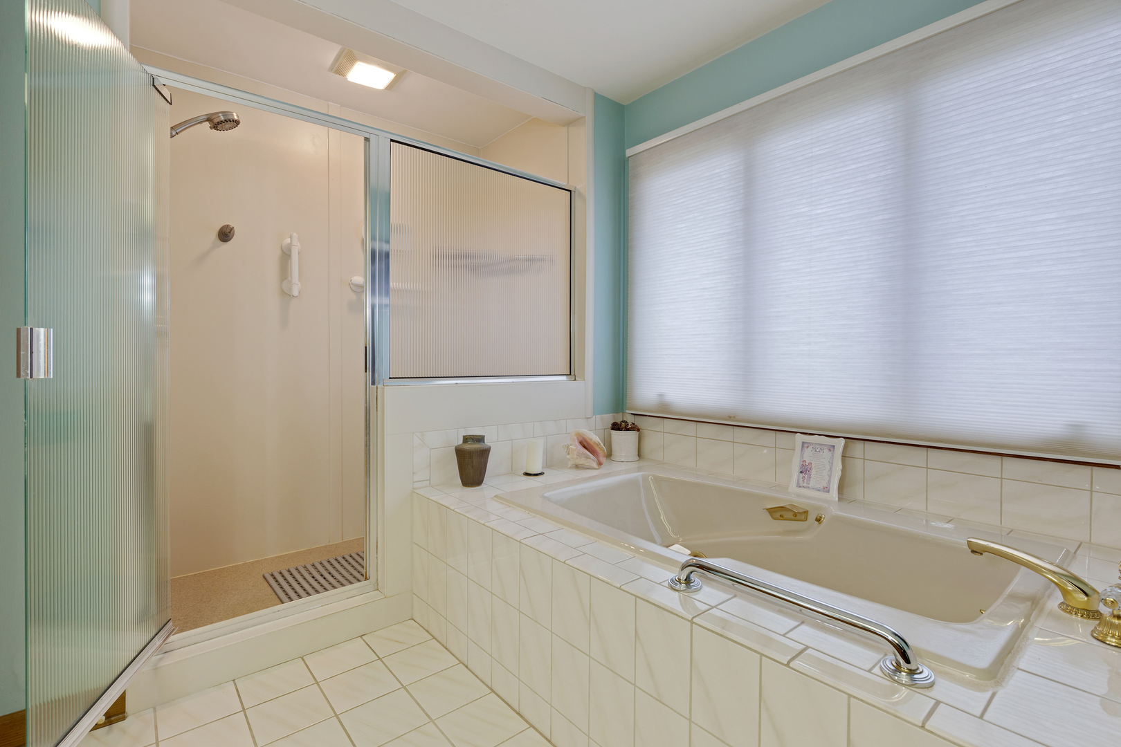 1133 Edgewater Drive Naperville, IL 60540 - Photo 17 of 37 a bathroom with a tub and a shower