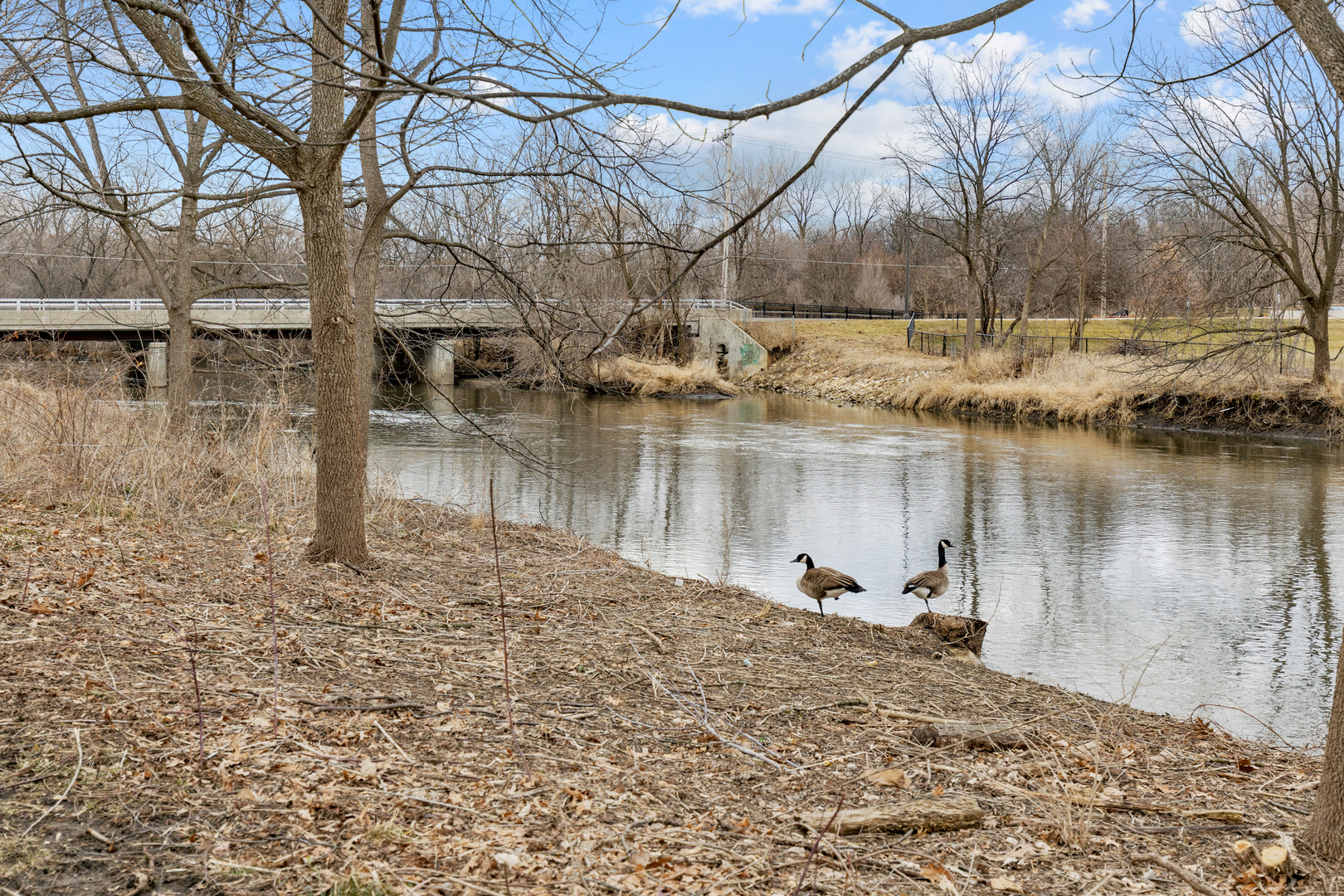1133 Edgewater Drive Naperville, IL 60540 - Photo 31 of 37 a view of a lake