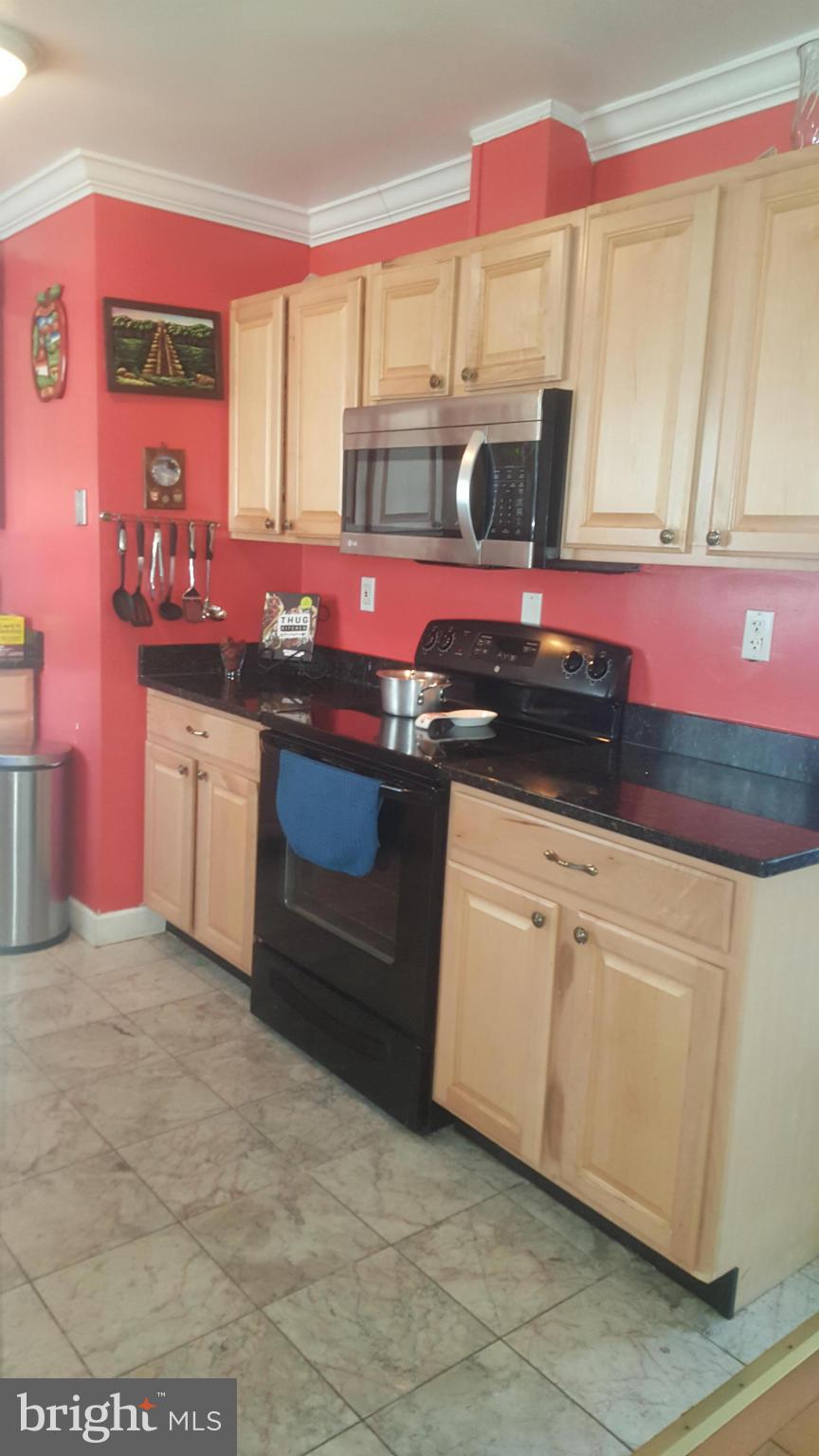 8009 Russell Road Alexandria, VA 22309 - Photo 7 of 16 Kitchen