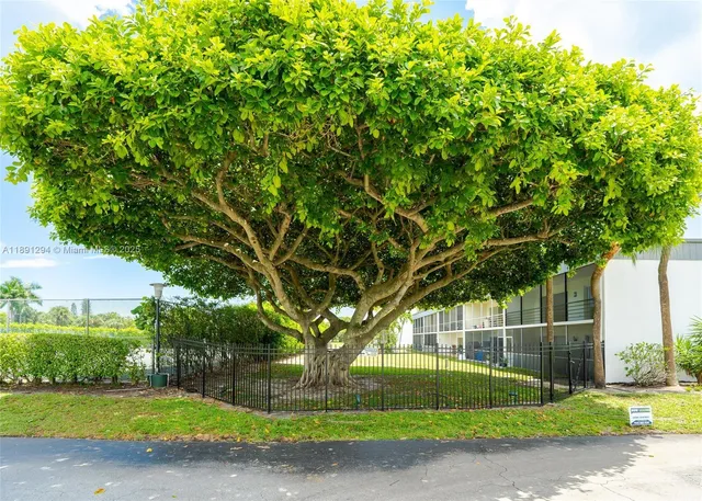 a view of a yard in front of a house