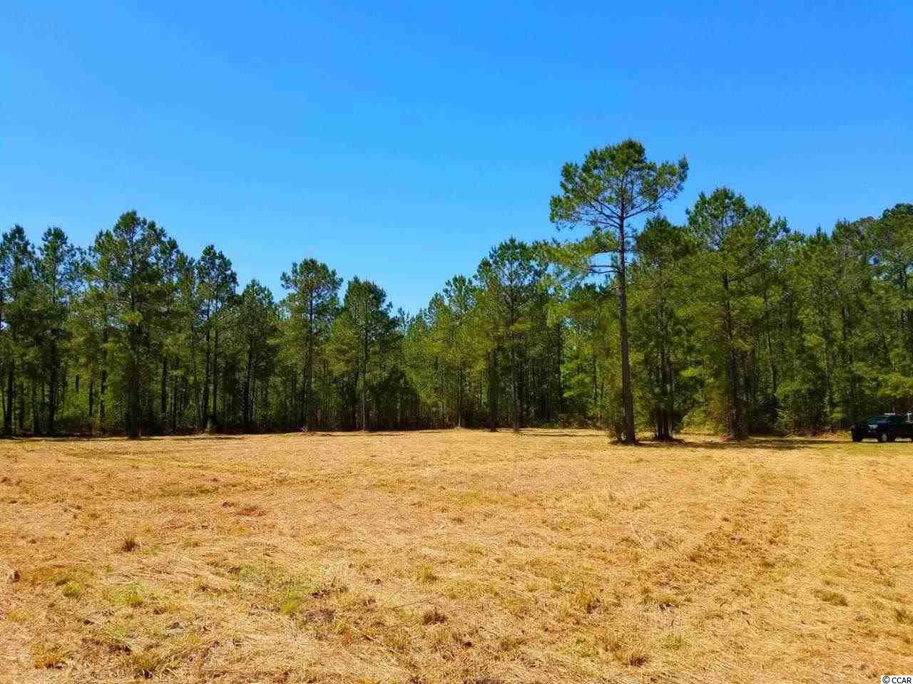 Lot 1 Samworth Loop Georgetown, SC 29440 - Photo 1 of 25 Gallery Image 1