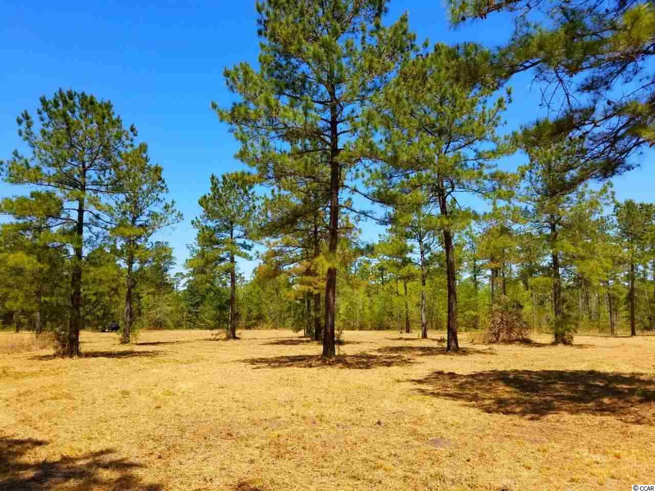 Lot 1 Samworth Loop Georgetown, SC 29440 - Photo 2 of 25 Gallery Image 2