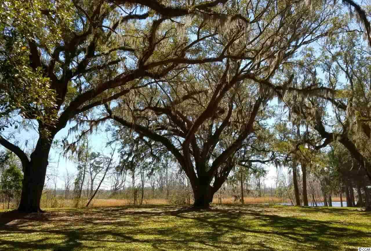 Lot 1 Samworth Loop Georgetown, SC 29440 - Photo 12 of 25 Gallery Image 12