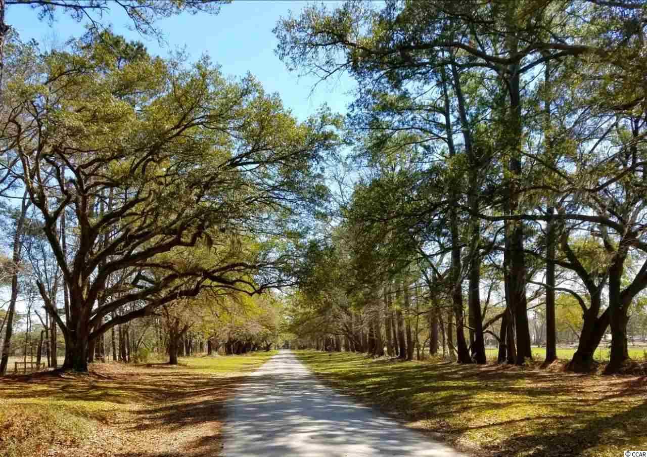 Lot 1 Samworth Loop Georgetown, SC 29440 - Photo 18 of 25 Gallery Image 18
