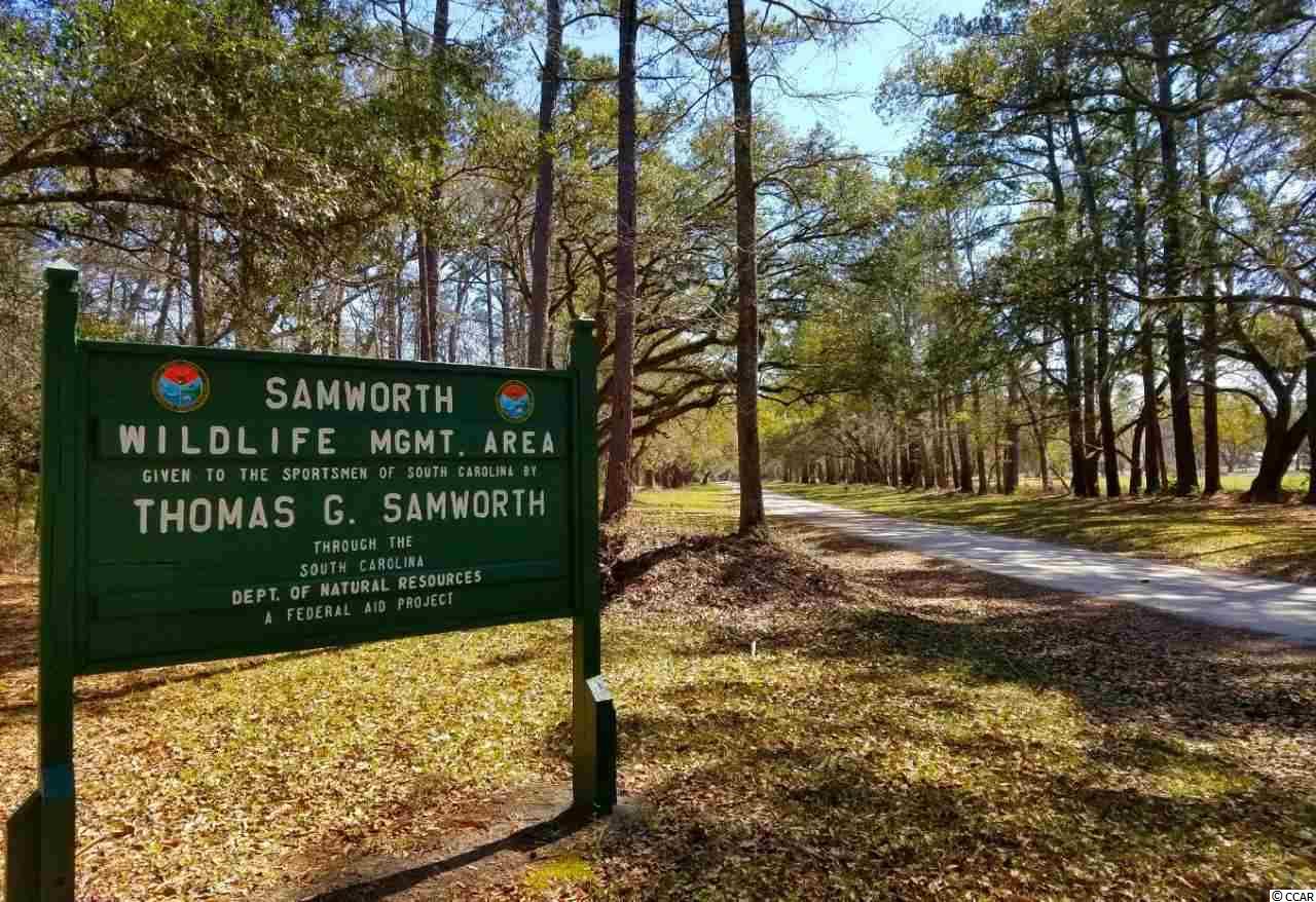 Lot 1 Samworth Loop Georgetown, SC 29440 - Photo 19 of 25 Gallery Image 19