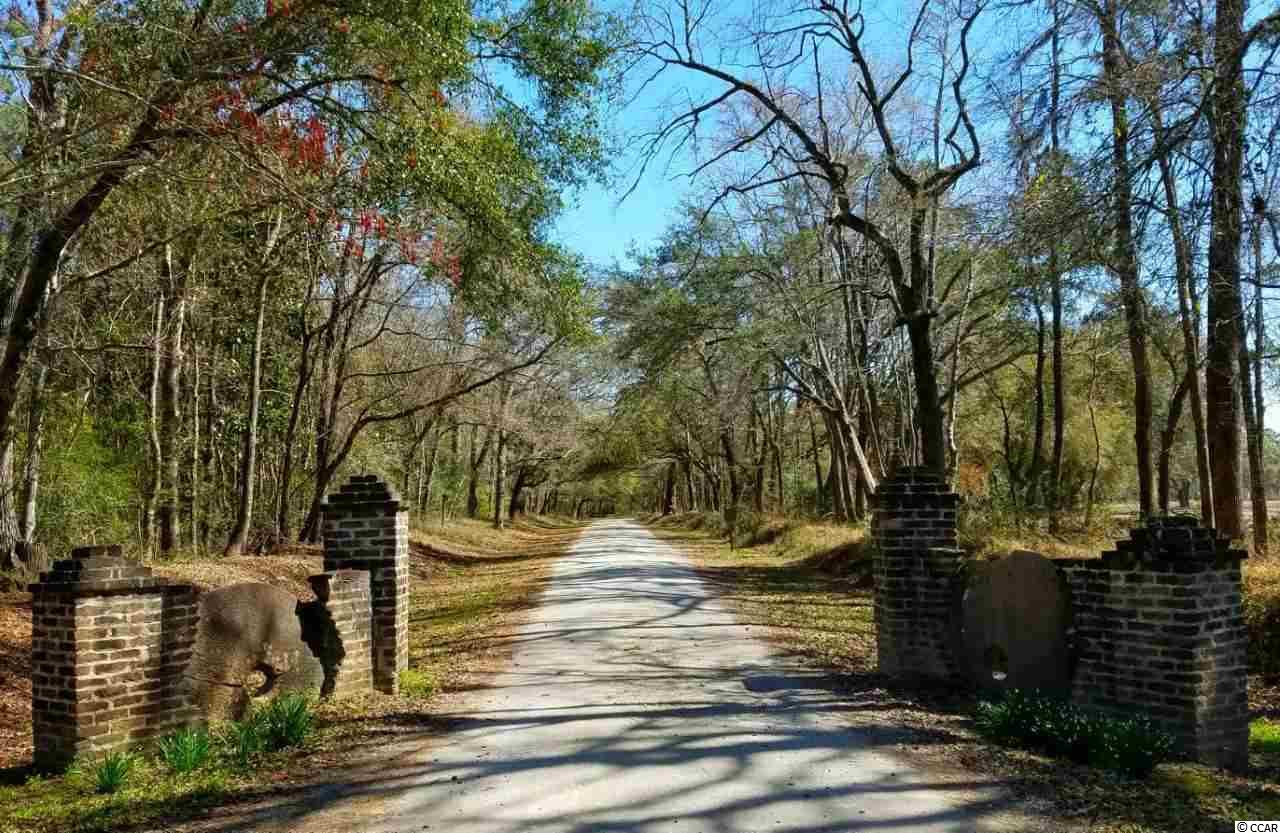 Lot 1 Samworth Loop Georgetown, SC 29440 - Photo 20 of 25 Gallery Image 20