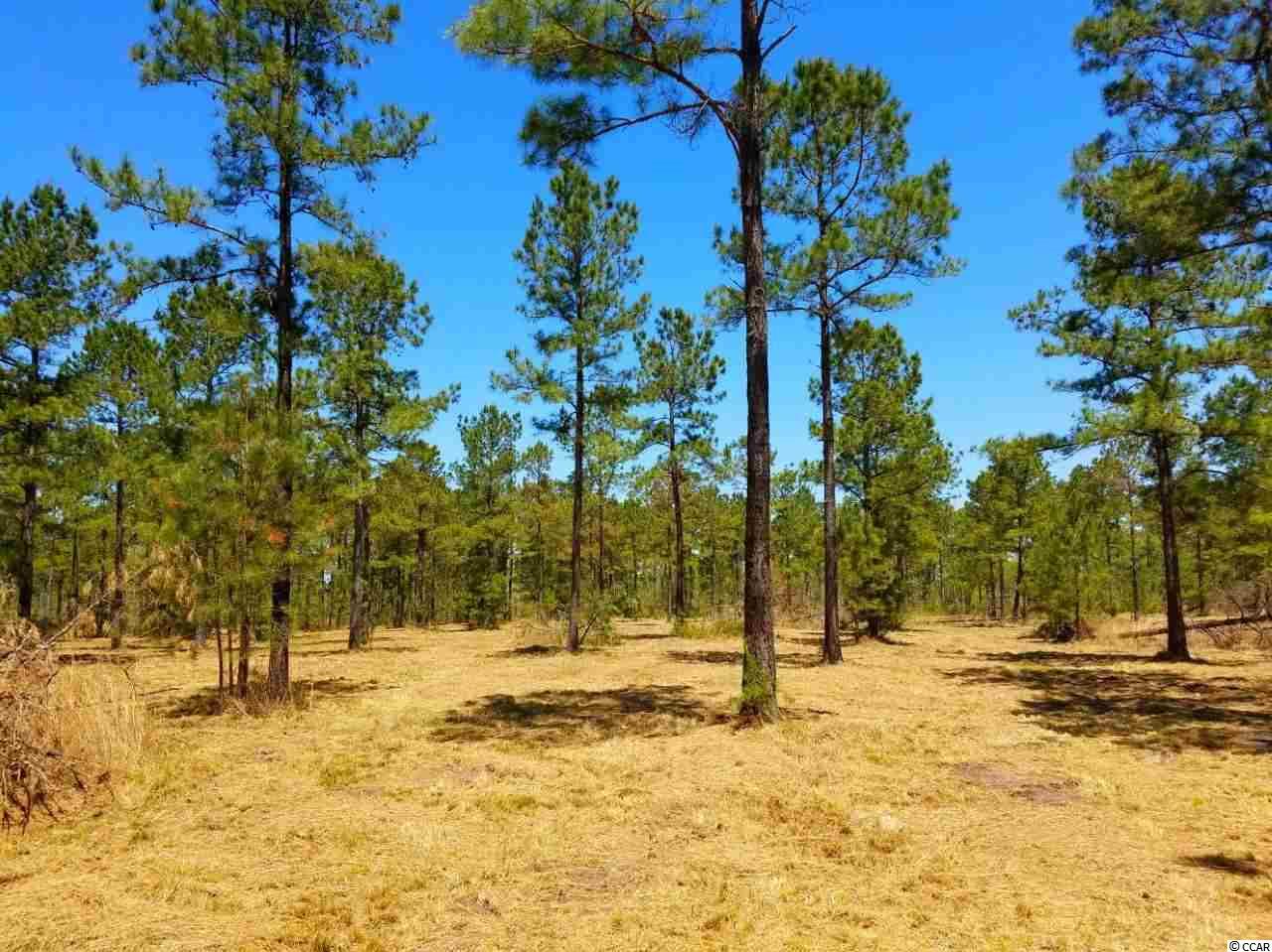 Lot 1 Samworth Loop Georgetown, SC 29440 - Photo 3 of 25 Gallery Image 3