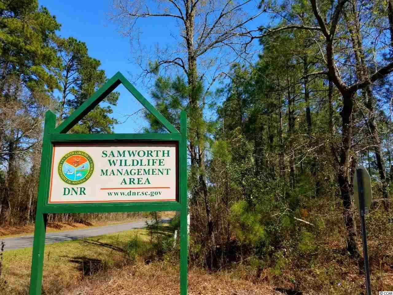 Lot 1 Samworth Loop Georgetown, SC 29440 - Photo 21 of 25 Gallery Image 21