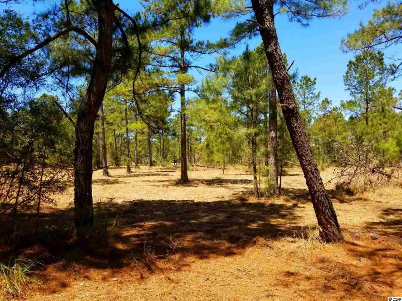 Lot 1 Samworth Loop Georgetown, SC 29440 - Photo 7 of 25 Gallery Image 7