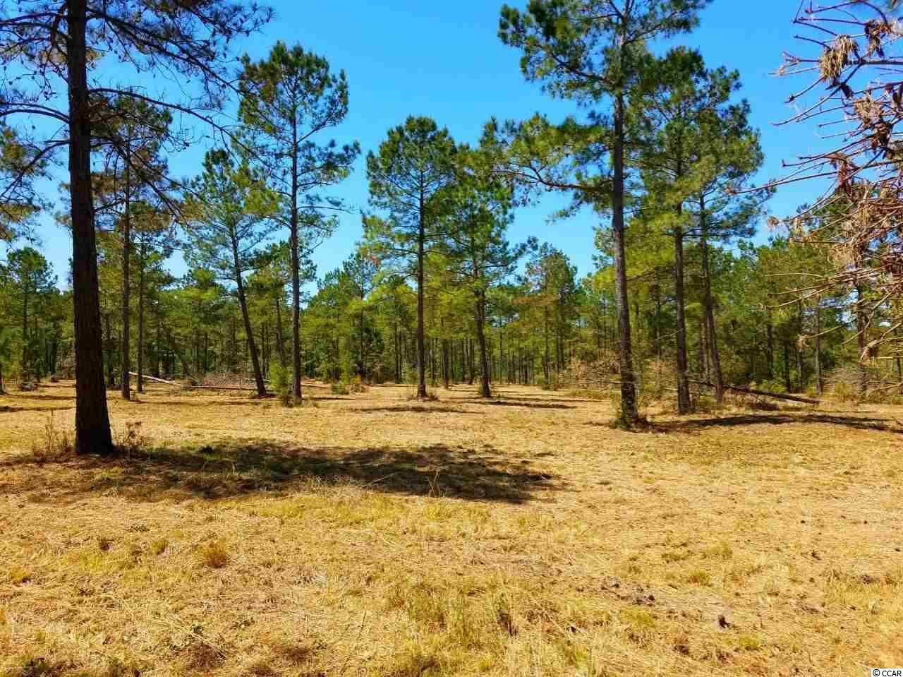 Lot 1 Samworth Loop Georgetown, SC 29440 - Photo 8 of 25 Gallery Image 8