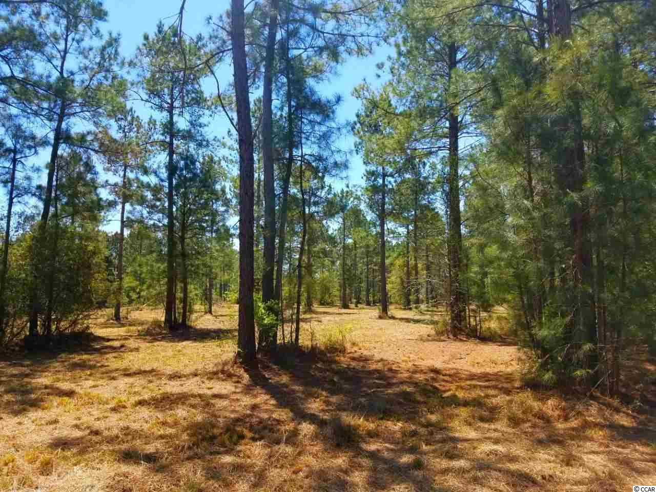 Lot 1 Samworth Loop Georgetown, SC 29440 - Photo 10 of 25 Gallery Image 10