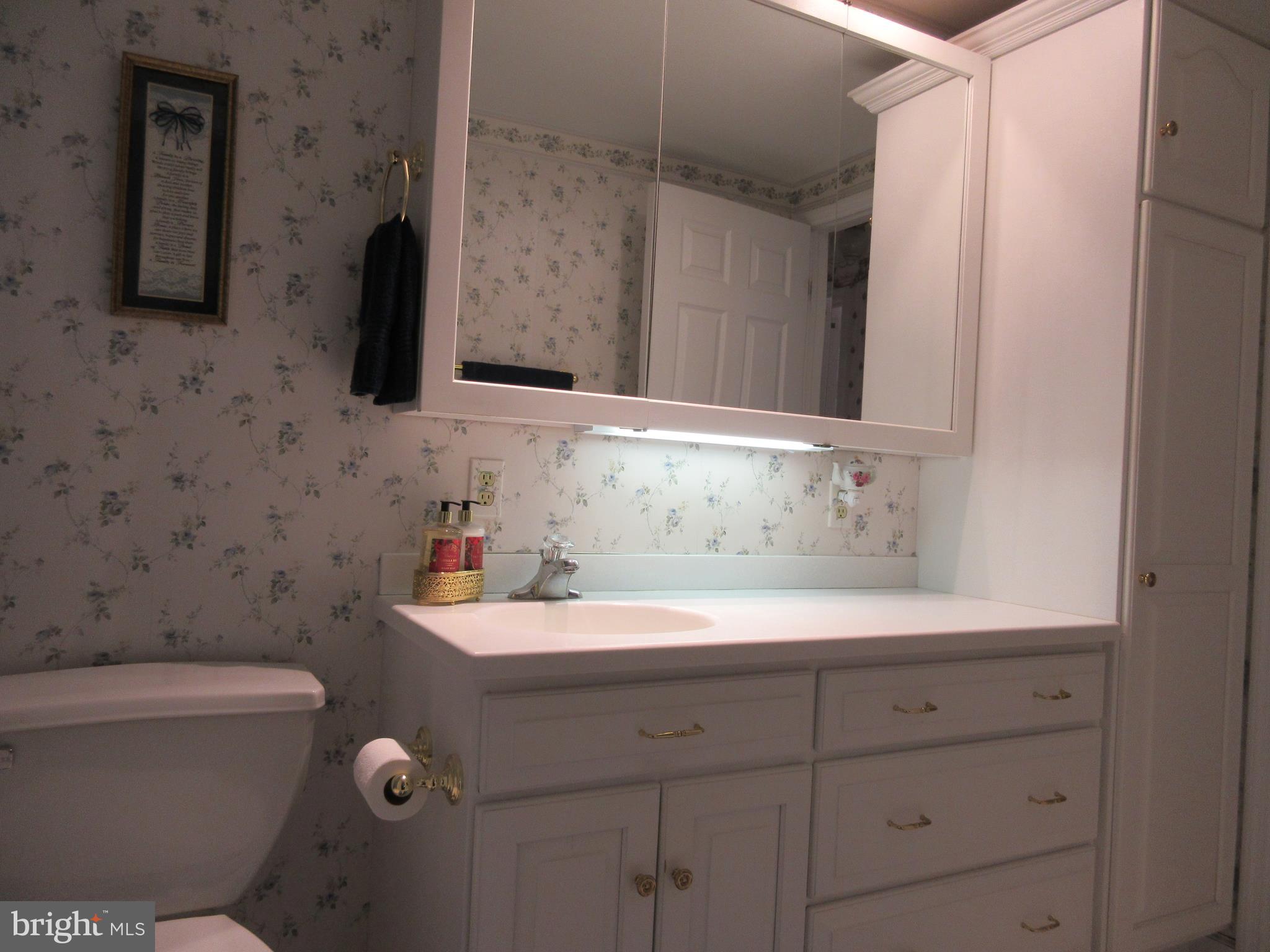160 April Lane Lititz, PA 17543 - Photo 9 of 27 a bathroom with a sink and a toilet