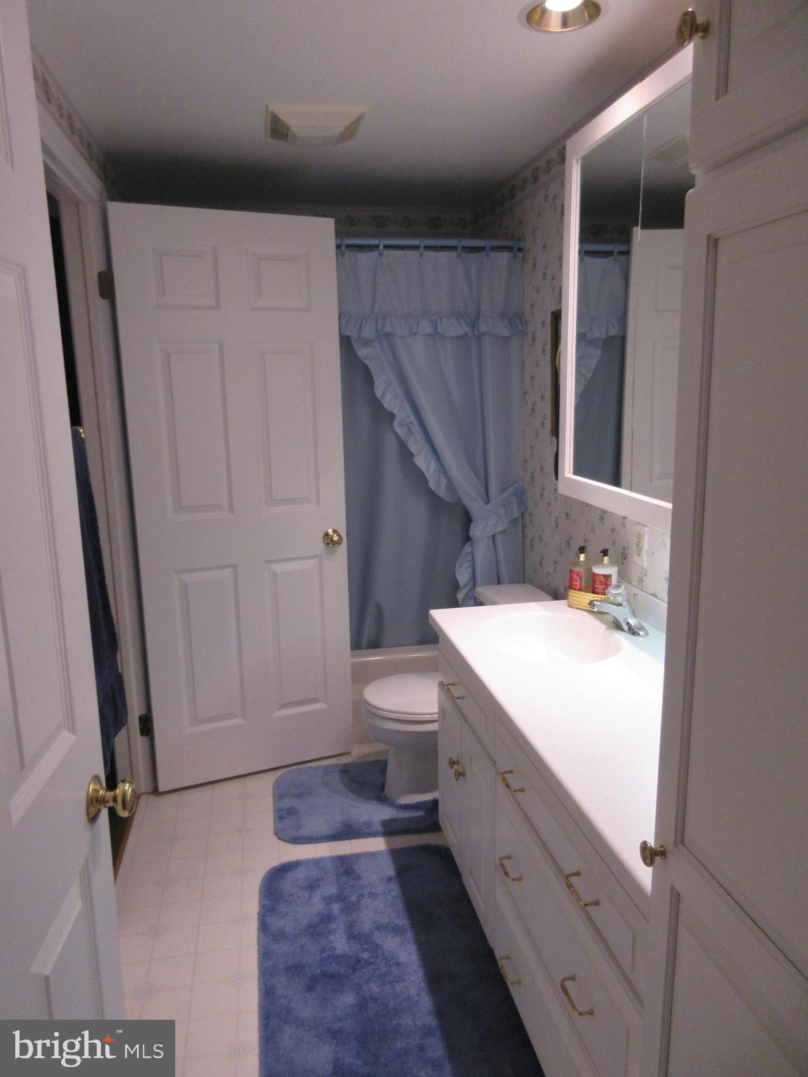 160 April Lane Lititz, PA 17543 - Photo 10 of 27 a bathroom with a sink a toilet and shower