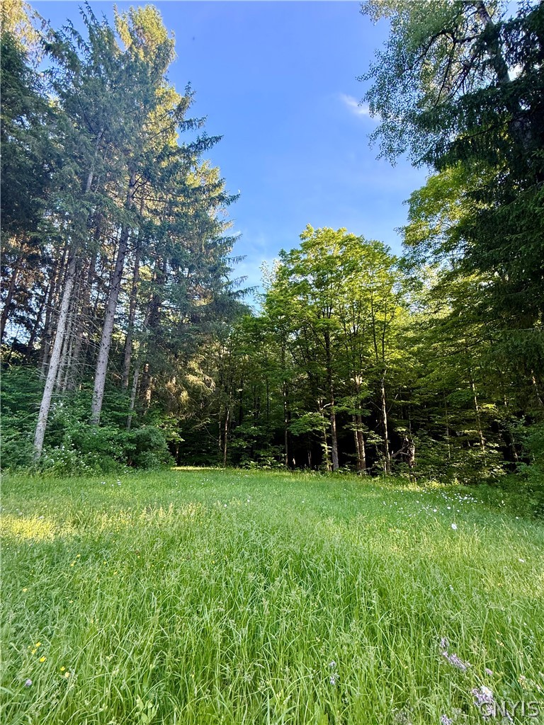 9191 Furman Mills Road Brookfield, NY 13460 - Photo 7 of 30