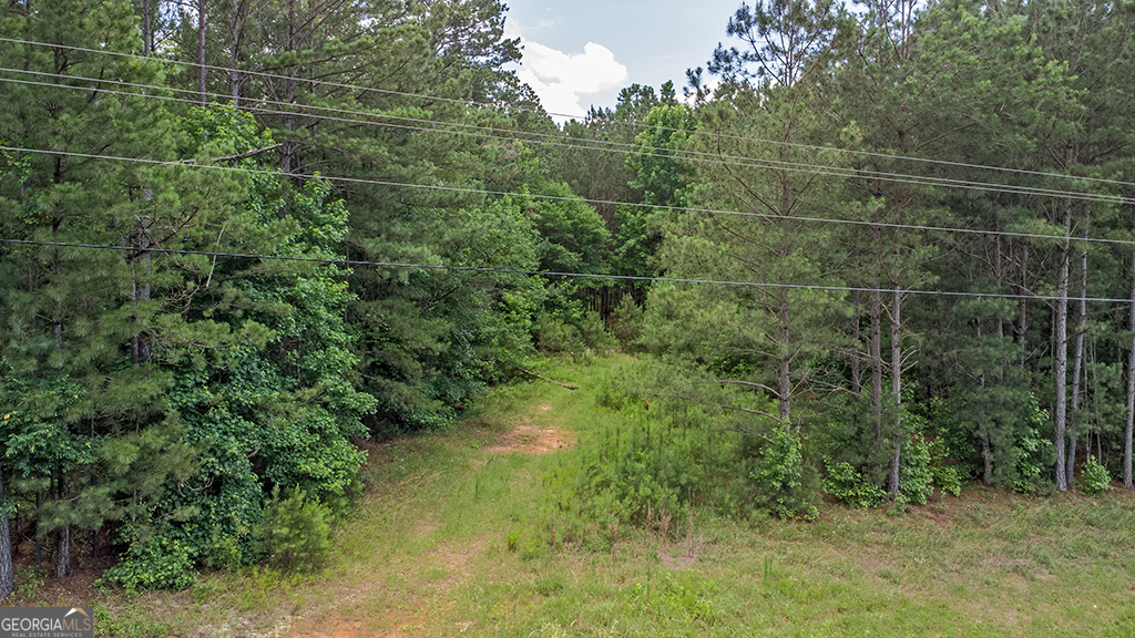 a view of a yard and trees
