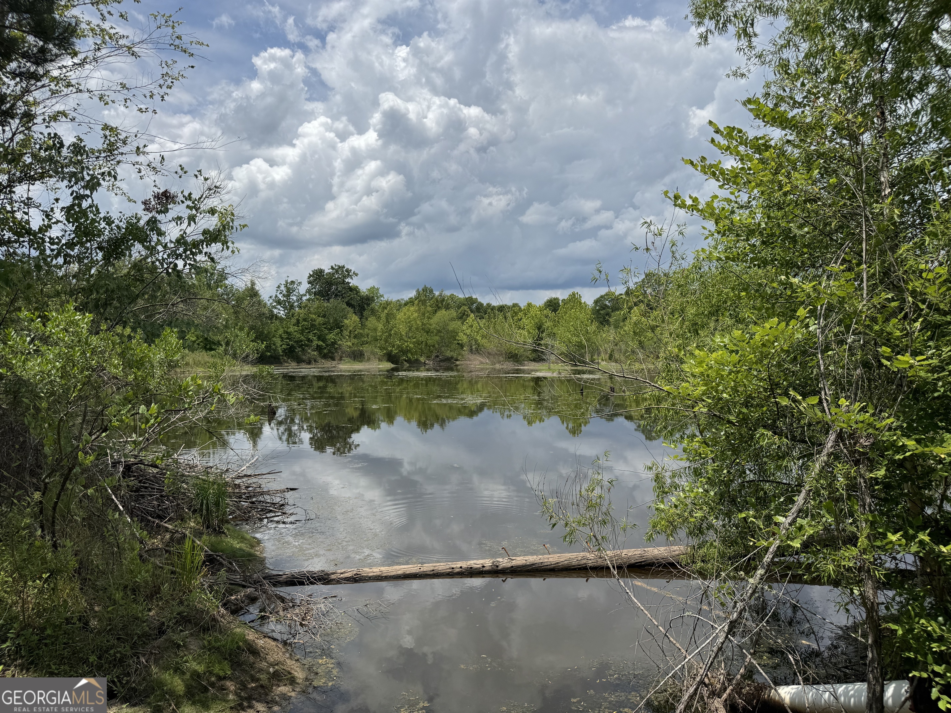 0 Rocky Mt Church Road Eufaula, AL 36027 - Photo 14 of 35