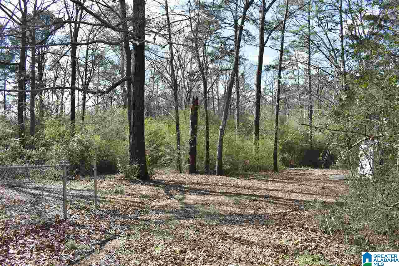 4352 Sharon Church Road Pinson, AL 35126 - Photo 23 of 31