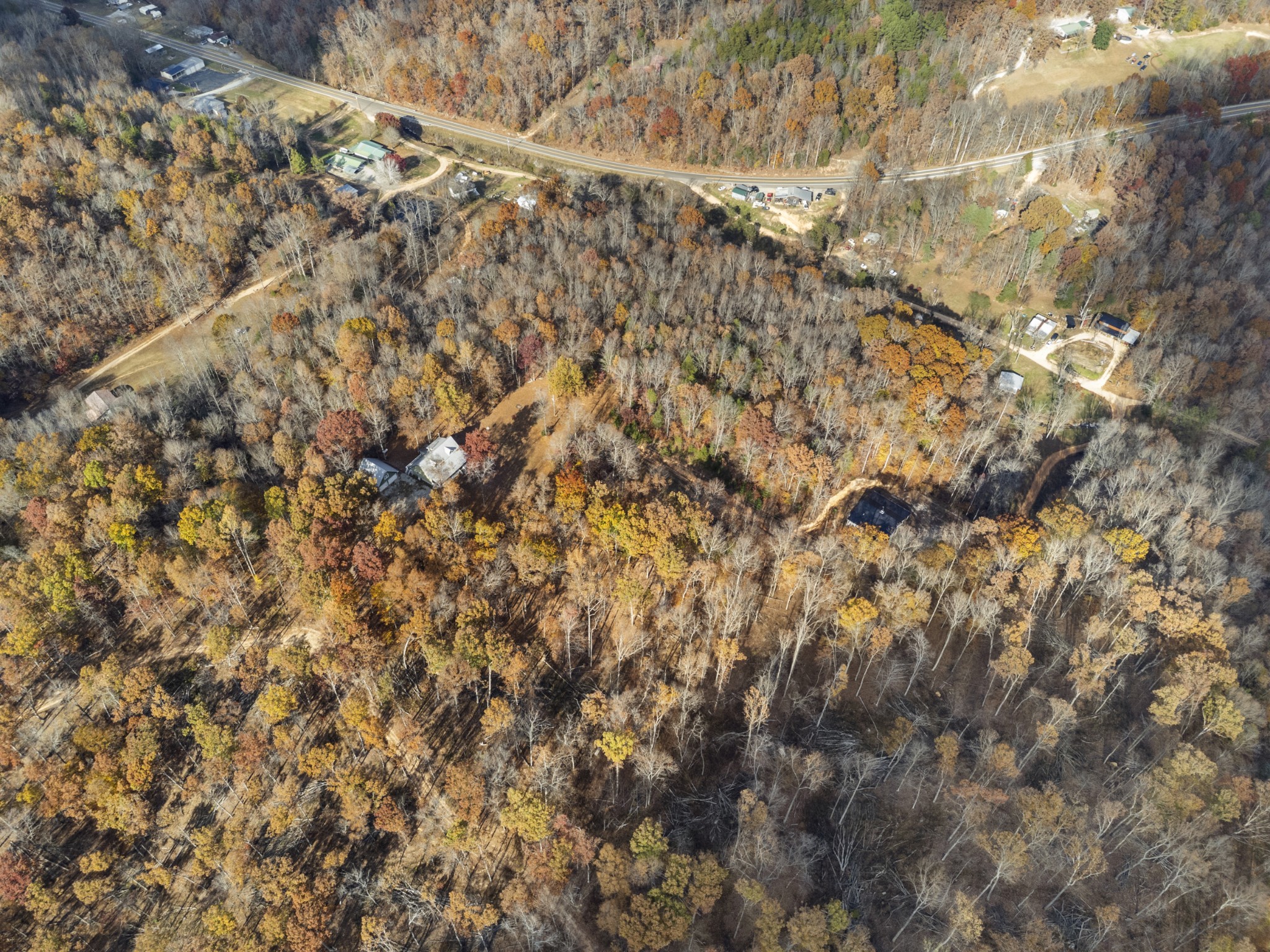 1148 Stoltz Road Centerville, TN 37033 - Photo 31 of 63 a view of a yard