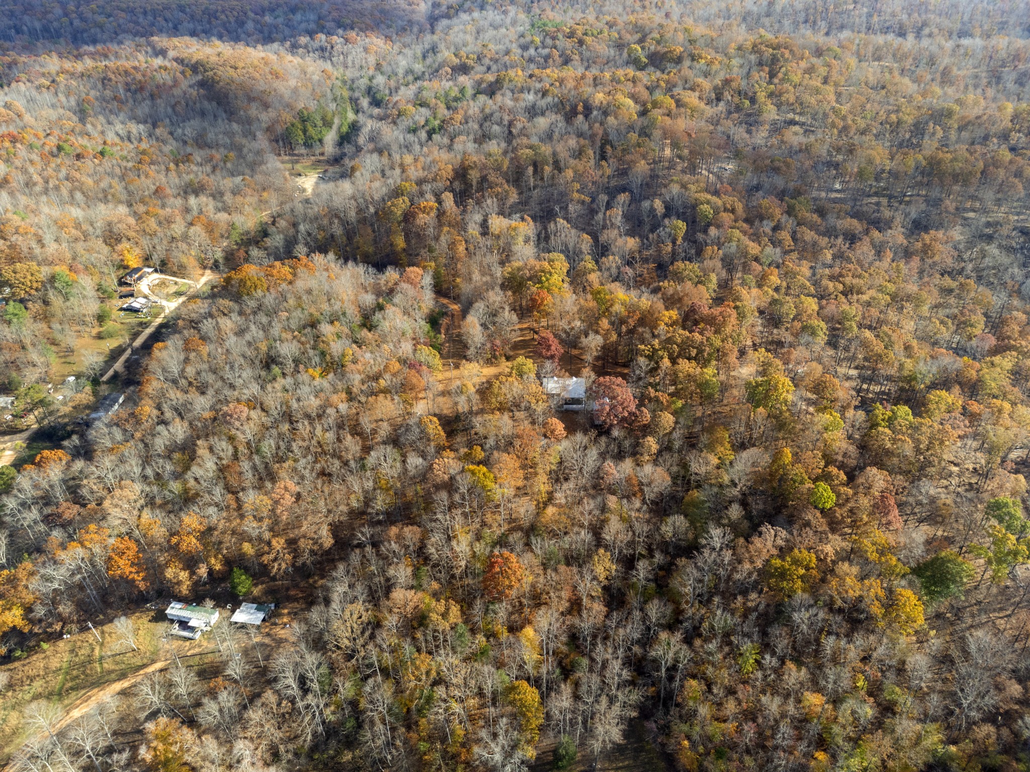 1148 Stoltz Road Centerville, TN 37033 - Photo 40 of 63 a view of a covered with green space