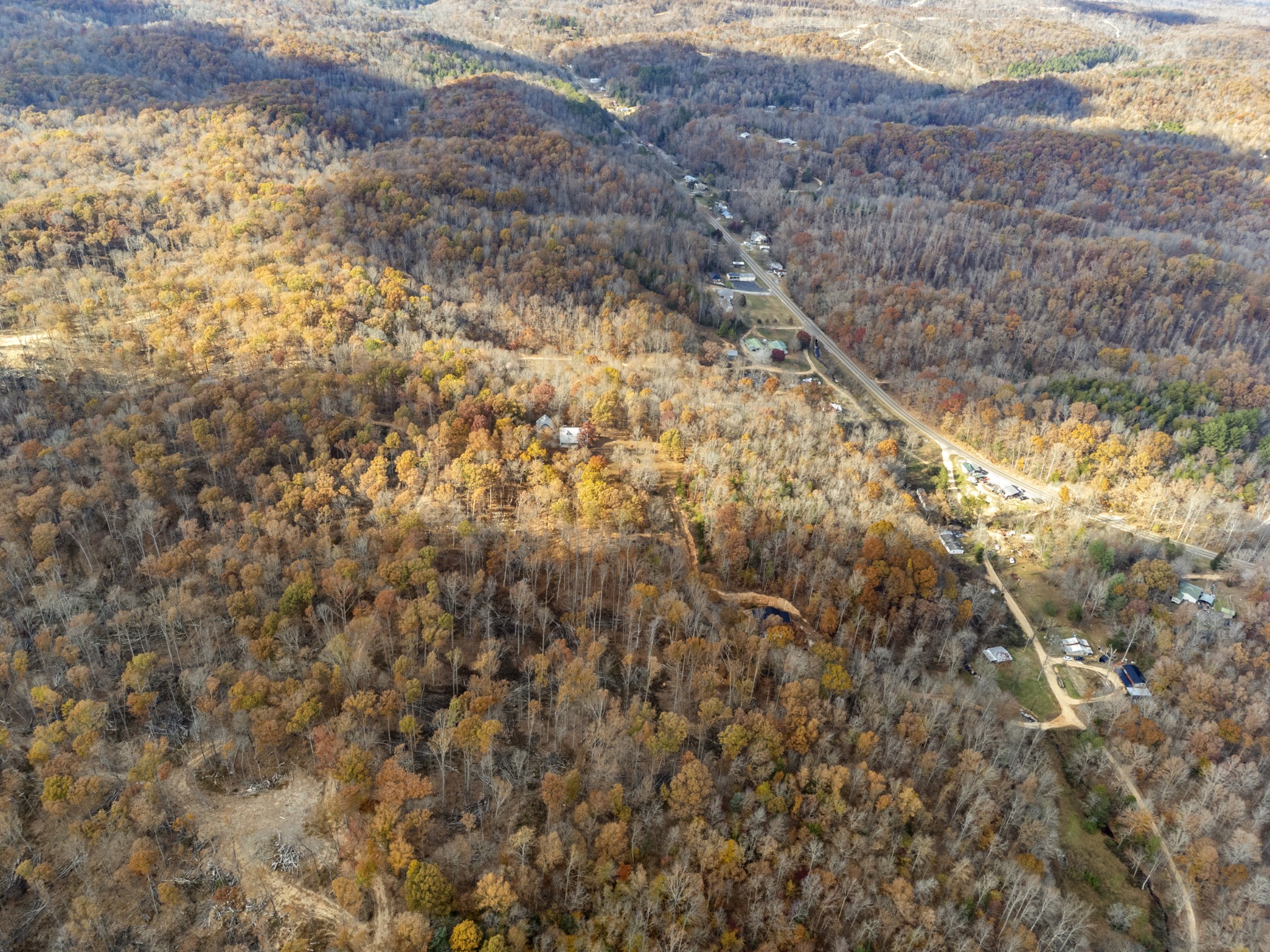 1148 Stoltz Road Centerville, TN 37033 - Photo 41 of 63 a view of a dry yard