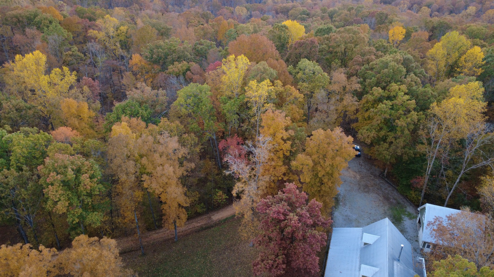 1148 Stoltz Road Centerville, TN 37033 - Photo 60 of 63