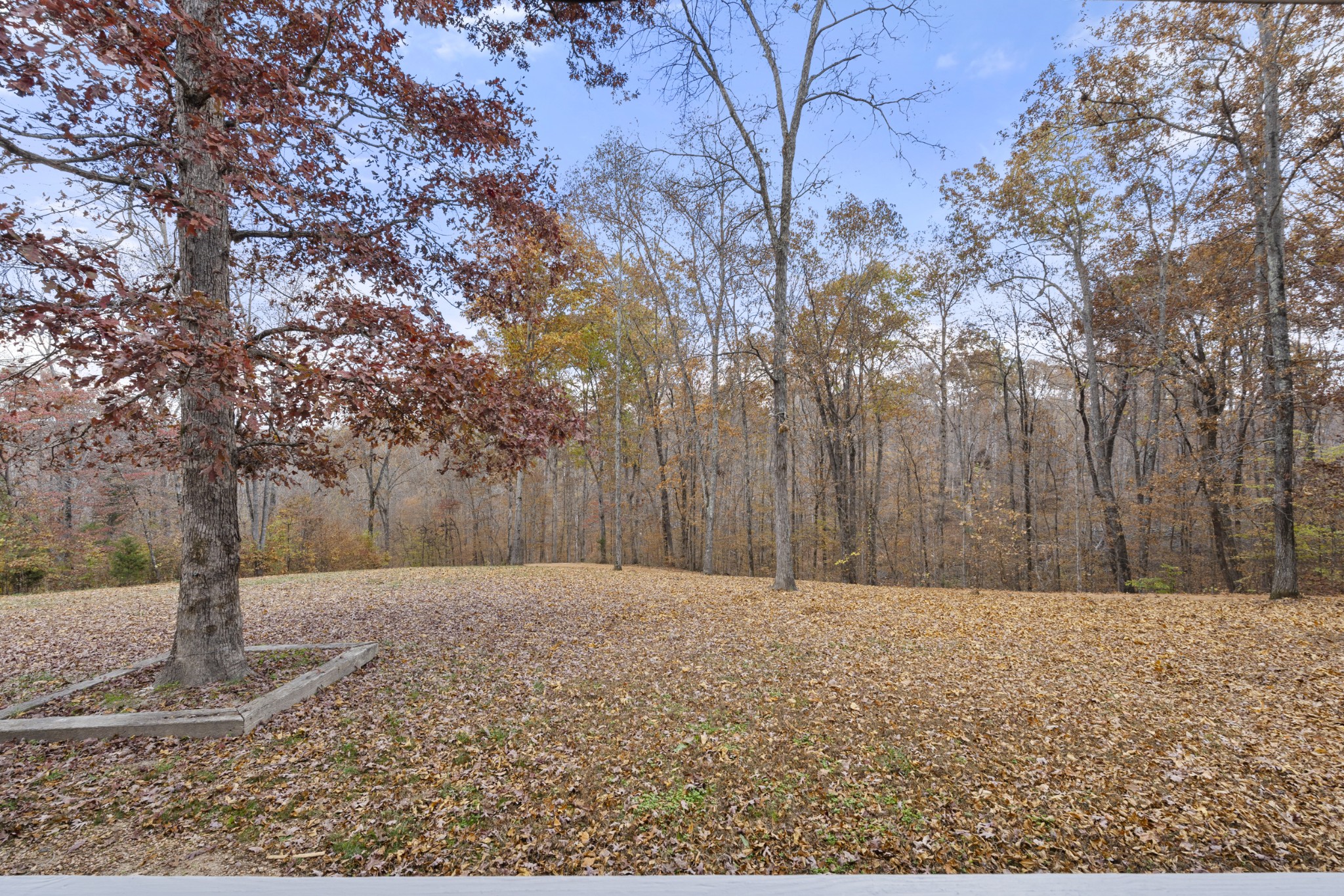 1148 Stoltz Road Centerville, TN 37033 - Photo 9 of 63 a front view of a house with a yard