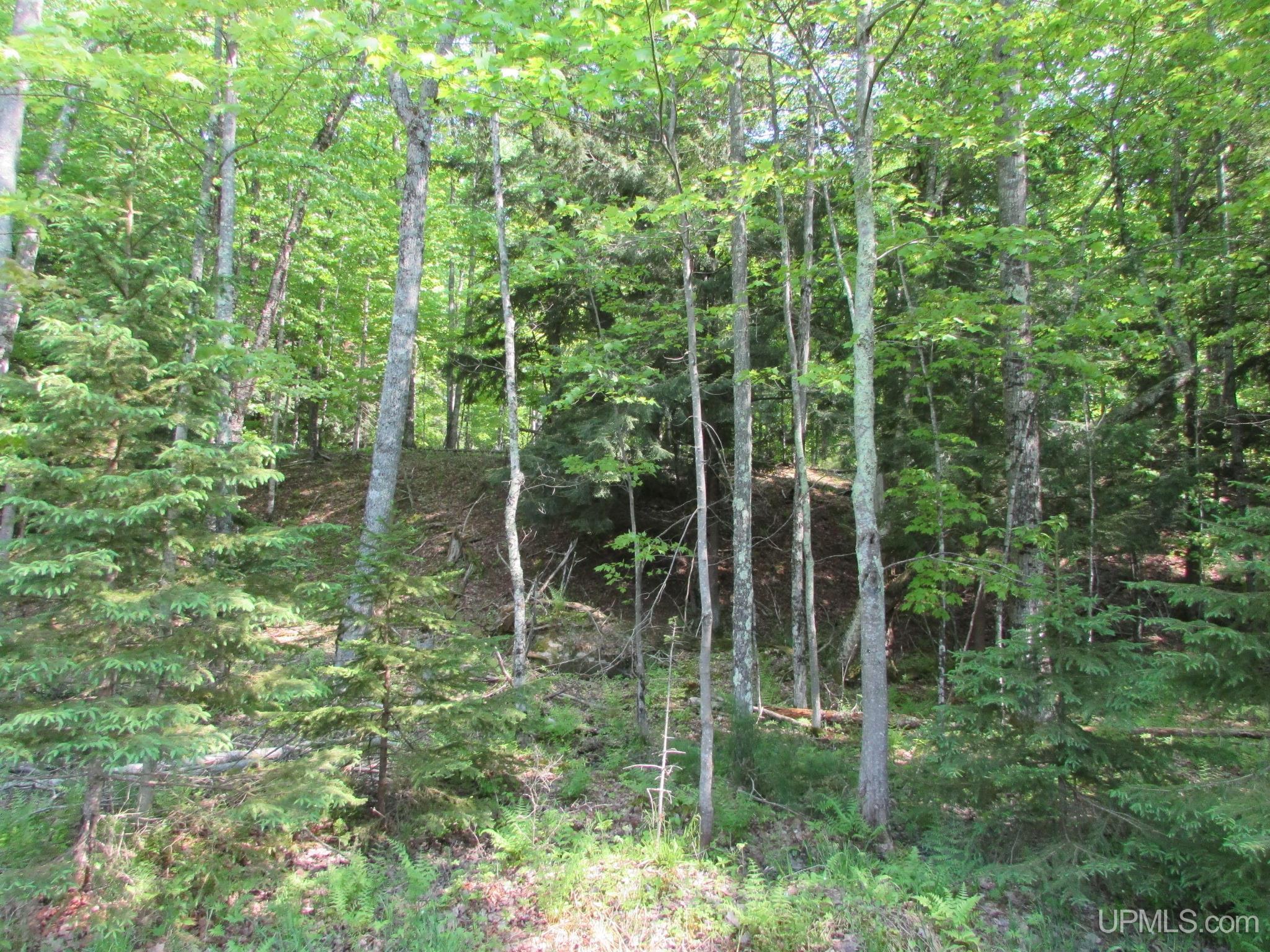 20517 Park Road Skanee, MI 49962 - Photo 76 of 84