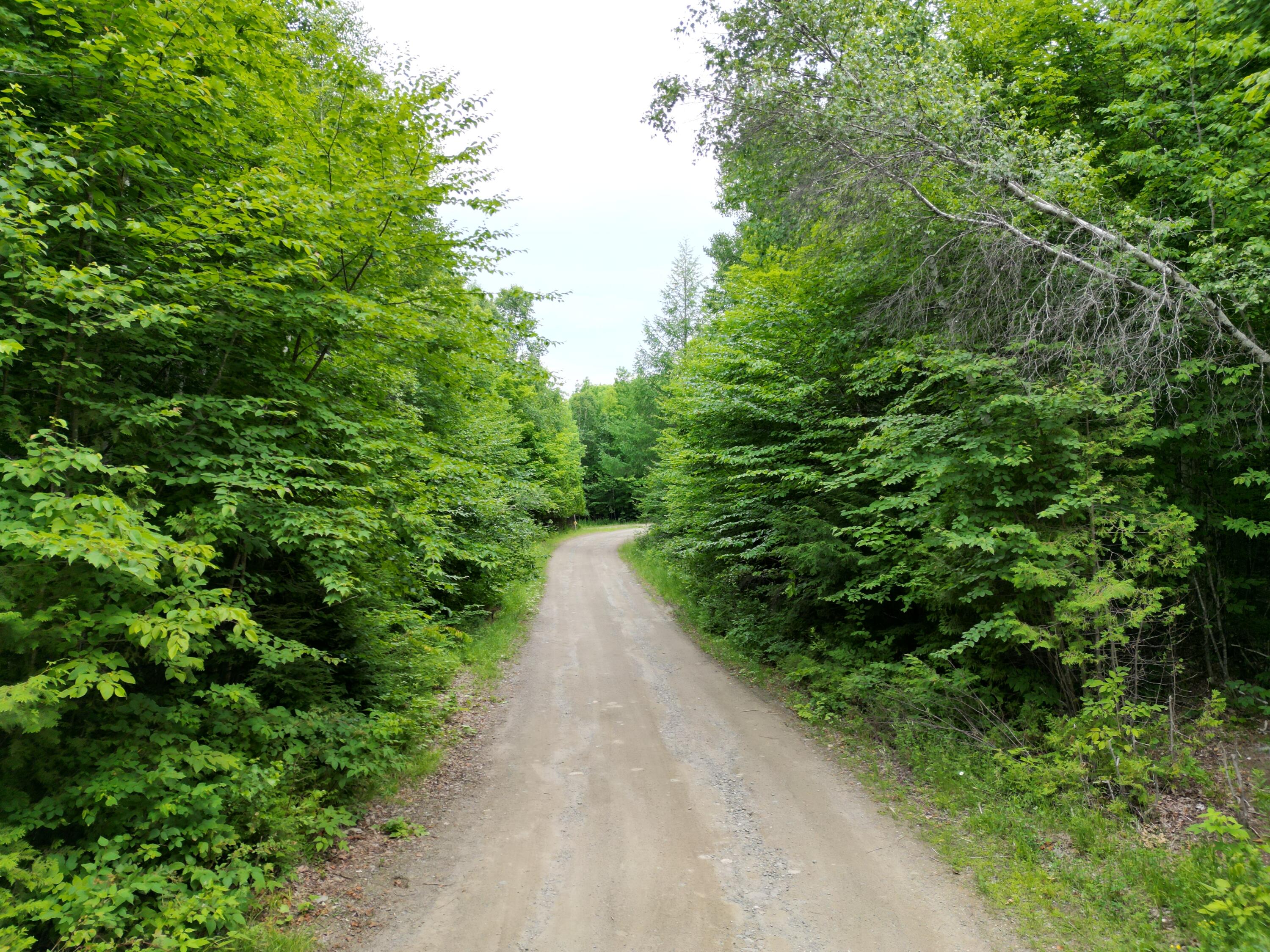 135 Clearcut Lodge Road Springfield, ME 04487 - Photo 12 of 23 DJI_0903
