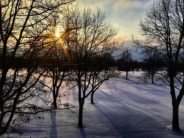 $729,900 | 7513 West Tuckaway Pines Circle, Franklin, WI 53132