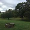 3044 Joe Dowlen Road Pleasant View, TN 37146 - Photo 2 of 10 Apple Trees