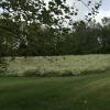 3044 Joe Dowlen Road Pleasant View, TN 37146 - Photo 5 of 10 Great garden spot