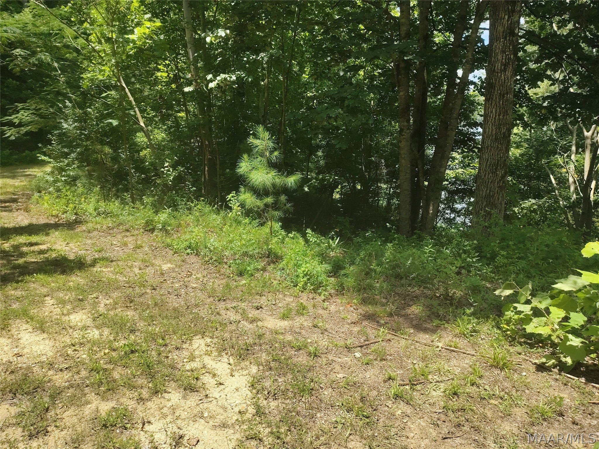 956 Bowden Hill Road Titus, AL 36080 - Photo 7 of 7 Gallery Image 7