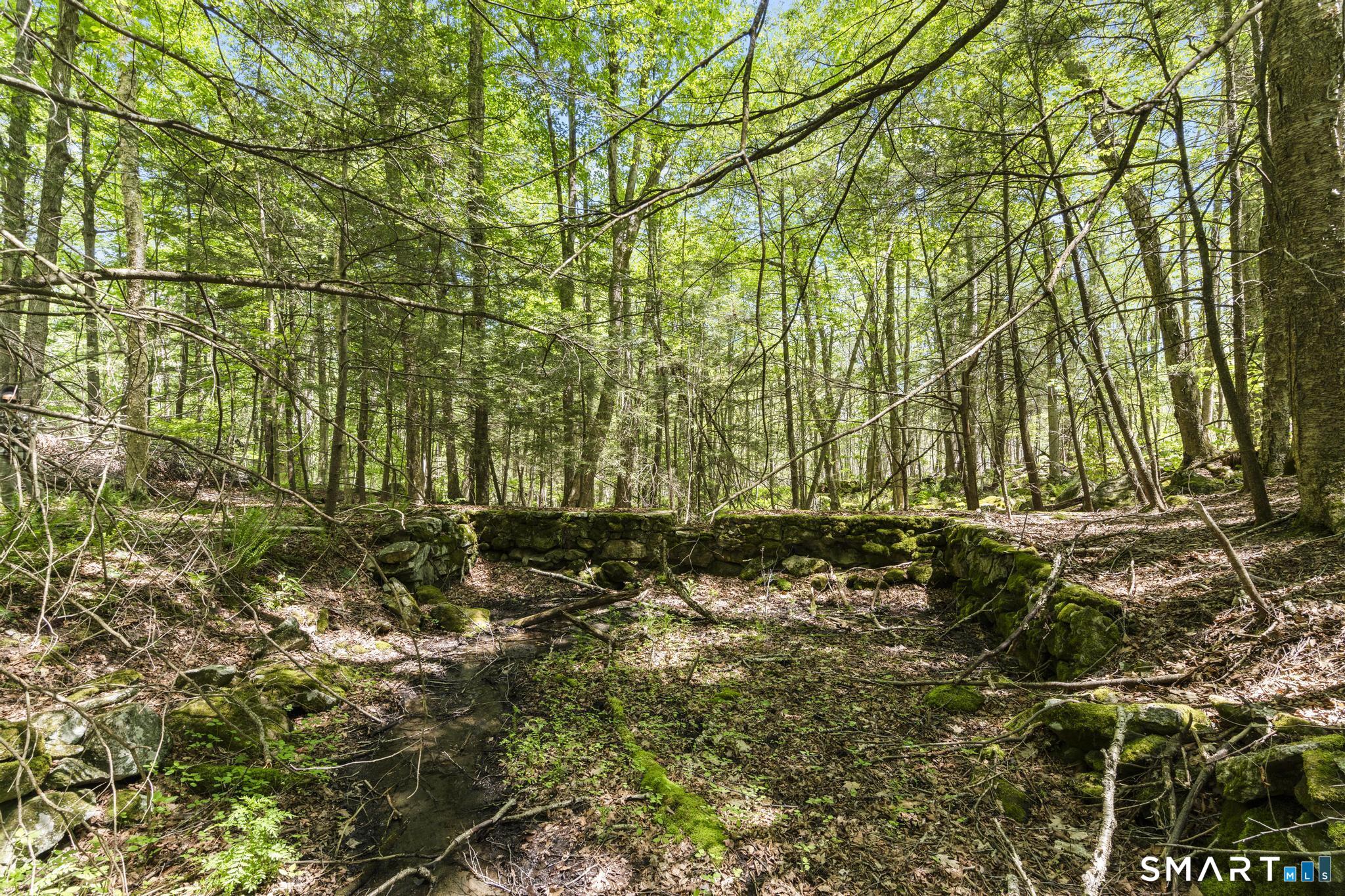 321 Colebrook Road Winchester, CT 06098 - Photo 33 of 39