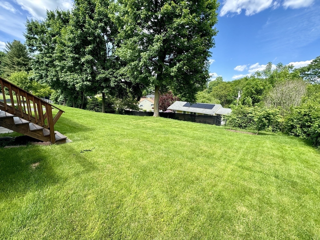 133 Bay State Road Worcester, MA 01606 - Photo 4 of 36 a view of a garden with an outdoor space