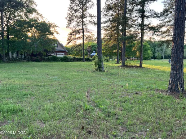 a view of garden with trees