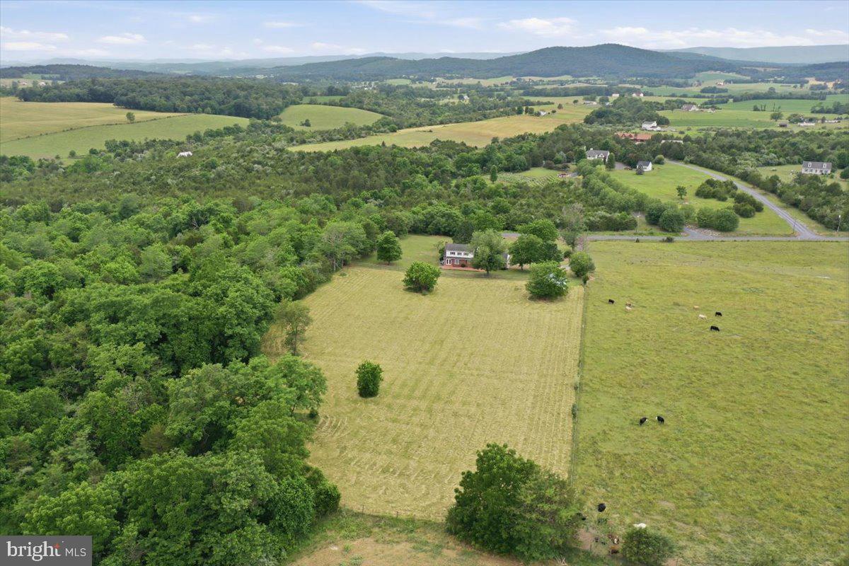 2447 Headquarters Road Edinburg, VA 22824 - Photo 48 of 58