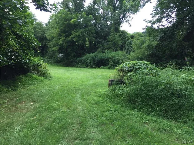 a view of yard with green space